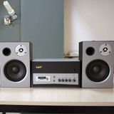 Loa cafe, Loa nhà hàng: Dàn âm thanh kết hợp giữa âm ly A350 và 2 loa V60