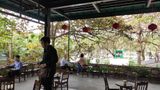 Hệ thống âm thanh cho AHA Cafe Bảo Tàng Dân Tộc, Amply 4 - 6 vùng âm lượng, loa được thiết kế riêng cho quán, bật lớn không tạp âm, miễn phí công lắp đặt, bảo hành dài hạn 5 năm.