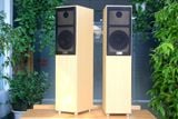 Cặp loa cây Goldsound V386