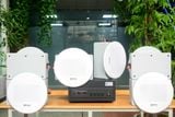 [Diện tích 120m2 + 2 Kênh] A501_SG Goldsound 500w + 6 loa âm trần Goldsound VAT38_SG 38w, loa được thiết kế riêng cho quán, bật lớn không tạp âm, miễn phí công lắp đặt, bảo hành dài hạn 5 năm