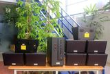 [Diện tích 160m2 + 02 Kênh] A906 Goldsound 2 vùng âm lượng 900w + 8 loa Goldsound ngoài trời V50NT 50w, loa được thiết kế riêng cho quán, bật lớn không tạp âm, miễn phí công lắp đặt, bảo hành 12 tháng
