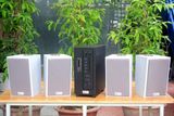 [Diện tích 80m2 + 02 Kênh] Amply A384_SG Goldsound 2 vùng âm lượng 380w + 4 loa Goldsound V58C_SG 58w, loa được thiết kế riêng cho quán, bật lớn không tạp âm, miễn phí công lắp đặt, bảo hành dài hạn 5 năm.