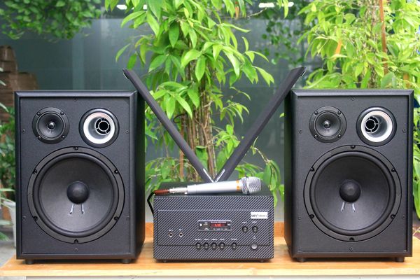 Dàn karaoke gia đình: K230 (01 amply 900w + 02 loa 200w + 01 Micro có dây)