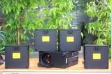 [Diện tích 80m2 + 2 Kênh] Amply A384 + 4 V21, Amply 2 vùng âm lượng, loa được thiết kế riêng cho quán, bật lớn không tạp âm, bảo hành dài hạn 5 năm.