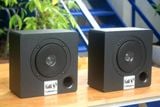 Loa vệ tinh V21 - 21w (1 chiếc)