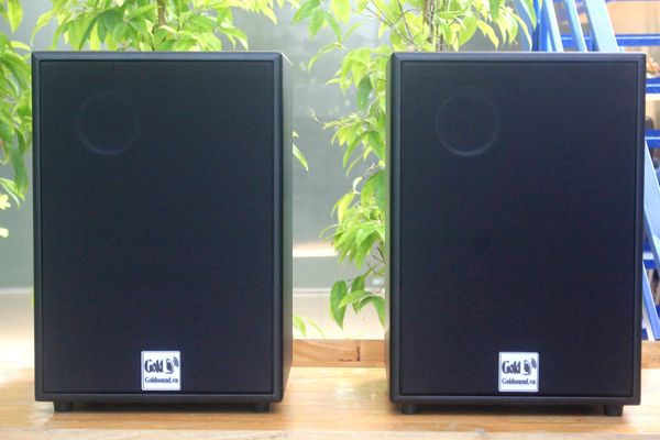 Loa Acoustic, hội trường V230_TH Goldsound (Số lượng 1 loa) công suất 200w, loa bass 25 cm, treble 10 cm, kích thước rộng 32 cm, cao 47 cm, sâu 31 cm, bảo hành dài hạn 5 năm.