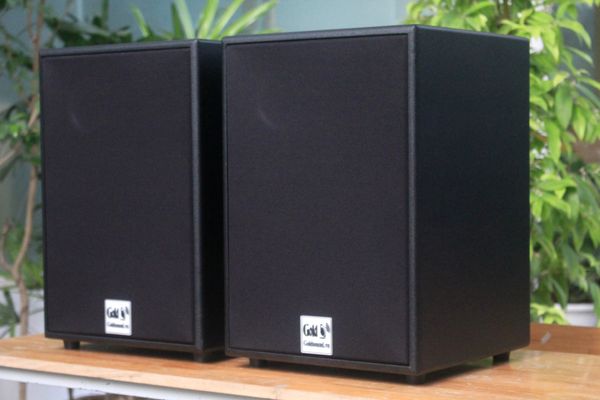 Loa Acoustic, hội trường V230 Goldsound công suất 200w, loa bass 25 cm, treble 10 cm, kích thước rộng 32 cm, cao 47 cm, sâu 31 cm, bảo hành dài hạn 5 năm.