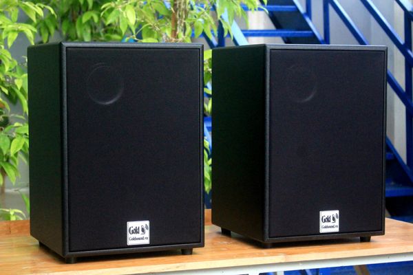 Loa Acoustic, hội trường V230 Goldsound công suất 200w, loa bass 25 cm, treble 10 cm, kích thước rộng 32 cm, cao 47 cm, sâu 31 cm, bảo hành dài hạn 5 năm.