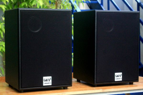 Loa Acoustic, hội trường V230_SG Goldsound (số lượng 01 loa), công suất 200w, loa bass 25 cm, treble 10 cm, kích thước rộng 32 cm, cao 47 cm, sâu 31 cm, bảo hành dài hạn 5 năm.