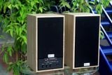 Loa GS31 Bookshelf 5 TH, công suất 160w, Bass 4 inch, Tress 2 inch, bluetooth 5.0, cổng rca, khe usb, thiết kế loa thùng gỗ cao 38 cm, rộng 21 cm, sâu 21.5 cm. Bảo hành 12 tháng