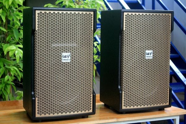 Loa Goldsound V238_TH phiên bản Gold (Số lượng 2 loa), công suất 238w, loa bass 30 cm, treble kèn, kích thước rộng 37 cm, cao 62 cm, sâu 37 cm, bảo hành dài hạn 5 năm.