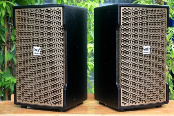 Loa Goldsound V238_TH phiên bản Gold (Số lượng 2 loa), công suất 238w, loa bass 30 cm, treble kèn, kích thước rộng 37 cm, cao 62 cm, sâu 37 cm, bảo hành dài hạn 5 năm.
