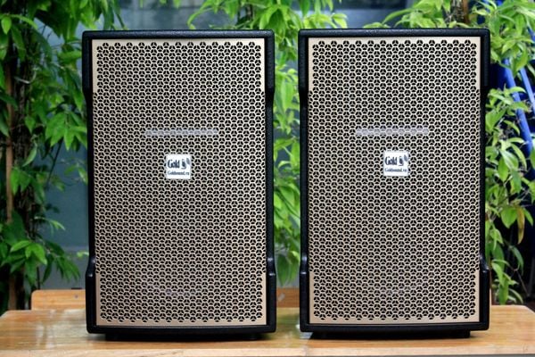 Loa Goldsound V238_TH phiên bản Gold (Số lượng 2 loa), công suất 238w, loa bass 30 cm, treble kèn, kích thước rộng 37 cm, cao 62 cm, sâu 37 cm, bảo hành dài hạn 5 năm.
