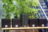 [Diện tích 80m2 + 02 Kênh] AMT384_DA Goldsound 2 vùng âm lượng 380w + 4 loa Goldsound V23DA 23w, loa được thiết kế riêng cho quán, bật lớn không tạp âm, miễn phí công lắp đặt, bảo hành dài hạn 5 năm.