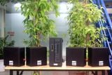 [Diện tích 80m2 + 02 Kênh] AMT384_SG Goldsound 2 vùng âm lượng 380w + 4 loa Goldsound V23SG 23w, loa được thiết kế riêng cho quán, bật lớn không tạp âm, miễn phí công lắp đặt, bảo hành dài hạn 5 năm.