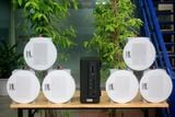 [Diện tích 120m2] AMT155_DA Goldsound 150w + 6 loa âm trần Goldsound VAT38_DA 38w, loa được thiết kế riêng cho quán, bật lớn không tạp âm, miễn phí công lắp đặt, bảo hành dài hạn 5 năm