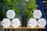 [Diện tích 120m2] AMT155 Goldsound 150w + 6 loa âm trần Goldsound VAT38 38w, loa được thiết kế riêng cho quán, bật lớn không tạp âm, miễn phí công lắp đặt, bảo hành dài hạn 5 năm