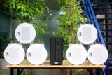 [Diện tích 120m2] AMT155_SG Goldsound 150w + 6 loa âm trần Goldsound VAT38_SG 38w, loa được thiết kế riêng cho quán, bật lớn không tạp âm, miễn phí công lắp đặt, bảo hành dài hạn 5 năm