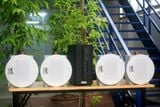 [Diện tích 80m2] AMT155_SG Goldsound 150w + 4 loa âm trần Goldsound VAT38_SG 38w, loa được thiết kế riêng cho quán, bật lớn không tạp âm, miễn phí công lắp đặt, bảo hành dài hạn 5 năm