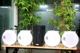 [Diện tích 80m2] AMT155_SG Goldsound 150w + 4 loa âm trần Goldsound VAT38_SG 38w, loa được thiết kế riêng cho quán, bật lớn không tạp âm, miễn phí công lắp đặt, bảo hành dài hạn 5 năm