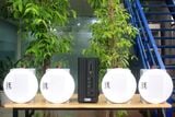 [Diện tích 80m2] AMT155_SG Goldsound 150w + 4 loa âm trần Goldsound VAT38_SG 38w, loa được thiết kế riêng cho quán, bật lớn không tạp âm, miễn phí công lắp đặt, bảo hành dài hạn 5 năm
