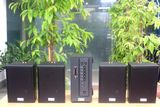 [Diện tích 80m2 + 02 Kênh] AMT384_DA Goldsound 2 vùng âm lượng 380w + 4 loa Goldsound V55C_DA 55w, loa được thiết kế riêng cho quán, bật lớn không tạp âm, miễn phí công lắp đặt, bảo hành dài hạn 5 năm.