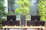 [Diện tích 120m2 + 02 Kênh] AMT384_SG Goldsound 2 vùng âm lượng 380w + 6 loa Goldsound ngoài trời V50NT _SG 50w, loa được thiết kế riêng cho quán, bật lớn không tạp âm, miễn phí công lắp đặt, bảo hành 12 tháng