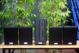 [Diện tích 80m2] AMT155 Goldsound 2 vùng âm lượng 150w + 4 loa Goldsound V25C 25W, loa được thiết kế riêng cho quán, bật lớn không tạp âm, miễn phí công lắp đặt, bảo hành dài hạn 5 năm.