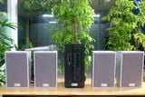Loa trường học Gold4Edu E64M (miễn phí lắp đặt)