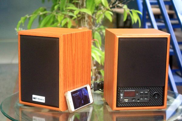 Loa HIFI W68SG