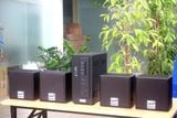[Diện tích 80m2] AMT154_TH Goldsound 150w + 4 loa Goldsound V23_TH 23w, loa được thiết kế riêng cho quán, bật lớn không tạp âm, miễn phí công lắp đặt, bảo hành dài hạn 5 năm.