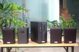 [Diện tích 80m2] AMT154_DA Goldsound 150w + 4 loa Goldsound V25C_DA 25w loa được thiết kế riêng cho quán, bật lớn không tạp âm, miễn phí công lắp đặt, bảo hành dài hạn 5 năm.
