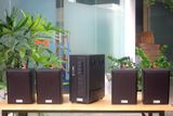 [Diện tích 80m2] AMT154_DA Goldsound 150w + 4 loa Goldsound V25C_DA 25w loa được thiết kế riêng cho quán, bật lớn không tạp âm, miễn phí công lắp đặt, bảo hành dài hạn 5 năm.
