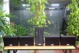 [Diện tích 80m2] AMT154_TH Goldsound 150w + 4 loa Goldsound ngoài trời V50NT_TH 50w, loa được thiết kế riêng cho quán, bật lớn không tạp âm, miễn phí công lắp đặt, bảo hành 12 tháng