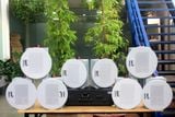 [Diện tích 160m2 + 2 Kênh] A917_DA Goldsound 2 vùng âm lượng 1200w + 8 loa âm trần Goldsound VAT38_DA 38w, loa được thiết kế riêng cho quán, bật lớn không tạp âm, miễn phí công lắp đặt, bảo hành dài hạn 5 năm