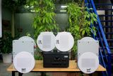 [Diện tích 120m2 + 2 Kênh] A907 Goldsound 2 vùng âm lượng 900w + 6 loa âm trần Goldsound VAT28 28w, loa được thiết kế riêng cho quán, bật lớn không tạp âm, miễn phí công lắp đặt, bảo hành dài hạn 5 năm