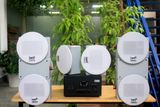 [Diện tích 160m2 + 2 Kênh] A907 Goldsound 2 vùng âm lượng 900w + 8 loa âm trần Goldsound VAT28 28w, loa được thiết kế riêng cho quán, bật lớn không tạp âm, miễn phí công lắp đặt, bảo hành dài hạn 5 năm