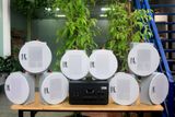 [Diện tích 160m2 + 2 Kênh] A907 Goldsound 2 vùng âm lượng 900w + 8 loa âm trần Goldsound VAT28 28w, loa được thiết kế riêng cho quán, bật lớn không tạp âm, miễn phí công lắp đặt, bảo hành dài hạn 5 năm