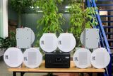 [Diện tích 160m2 + 2 Kênh] A907_TH Goldsound 2 vùng âm lượng 900w + 8 loa âm trần Goldsound VAT28_TH 28w, loa được thiết kế riêng cho quán, bật lớn không tạp âm, miễn phí công lắp đặt, bảo hành dài hạn 5 năm