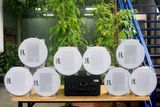 [Diện tích 160m2 + 2 Kênh] A907_DA Goldsound 2 vùng âm lượng 900w + 8 loa âm trần Goldsound VAT28_DA 28w, loa được thiết kế riêng cho quán, bật lớn không tạp âm, miễn phí công lắp đặt, bảo hành dài hạn 5 năm