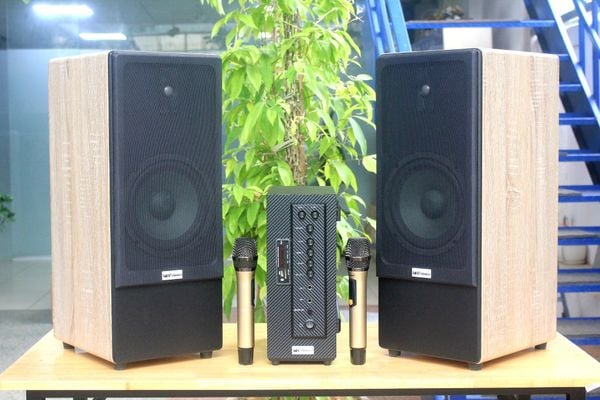 Dàn Karaoke gia đình M385Mi (01 cục đẩy 900w tích hợp Micro + Loa 385 + 02 Micro không dây)