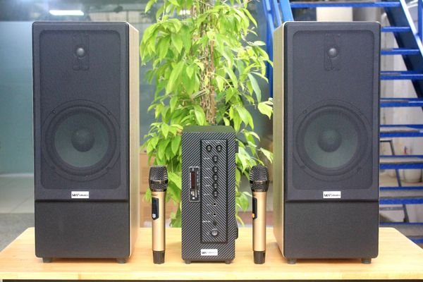 Dàn Karaoke gia đình M385Mi (01 cục đẩy 900w tích hợp Micro + Loa 385 + 02 Micro không dây)