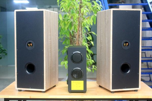 Dàn Karaoke gia đình M385Mi (01 cục đẩy 900w tích hợp Micro + Loa 385 + 02 Micro không dây)