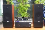 K385 vân sáng (01 đẩy 1200w + 01 Vang + 01 bộ Micro không dây + loa 385)