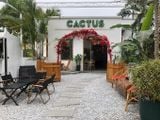 Loa Goldsound cho Cactus Coffee 31 Phan Chu Trinh, Vĩnh Yên, Vĩnh Phúc, Amply 4 - 6 vùng âm lượng, loa được thiết kế riêng cho quán, bật lớn không tạp âm, miễn phí công lắp đặt, bảo hành dài hạn 5 năm