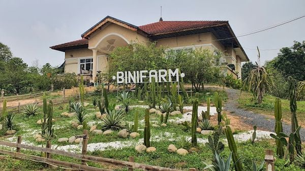 Loa Goldsound cho BINIFARM - Tropical Retreat, TP HCM, amply 2 kênh 200w Goldsound, bluetooth 5.0, loa 13w, loa được thiết kế riêng cho quán, bật lớn không tạp âm, miễn phí công lắp đặt, bảo hành dài hạn 5 năm