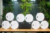 [Diện tích 120m2 + 2 Kênh] Gold4cafe_SG 8.0 (01 Amply + 8 loa âm trần), loa được thiết kế riêng cho quán, bật lớn không tạp âm, bảo hành dài hạn 5 năm.