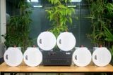 [Diện tích 100m2 + 2 Kênh] Gold4cafe_TH 6.0 (01 amply + 06 loa âm trần), Amply 2 vùng âm lượng, loa được thiết kế riêng cho quán, bật lớn không tạp âm, bảo hành dài hạn 5 năm.