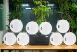 [Diện tích 120m2 + 2 Kênh] Gold4cafe_SG 8.0 (01 Amply + 8 loa âm trần), loa được thiết kế riêng cho quán, bật lớn không tạp âm, bảo hành dài hạn 5 năm.