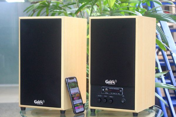 Loa GS31 Bookshelf 5 SG,  công suất 160w, Bass 4 inch, Tress 2 inch, bluetooth 5.0, cổng rca, khe usb, thiết kế loa thùng gỗ cao 38 cm, rộng 21 cm, sâu 21.5 cm. Bảo hành 12 tháng